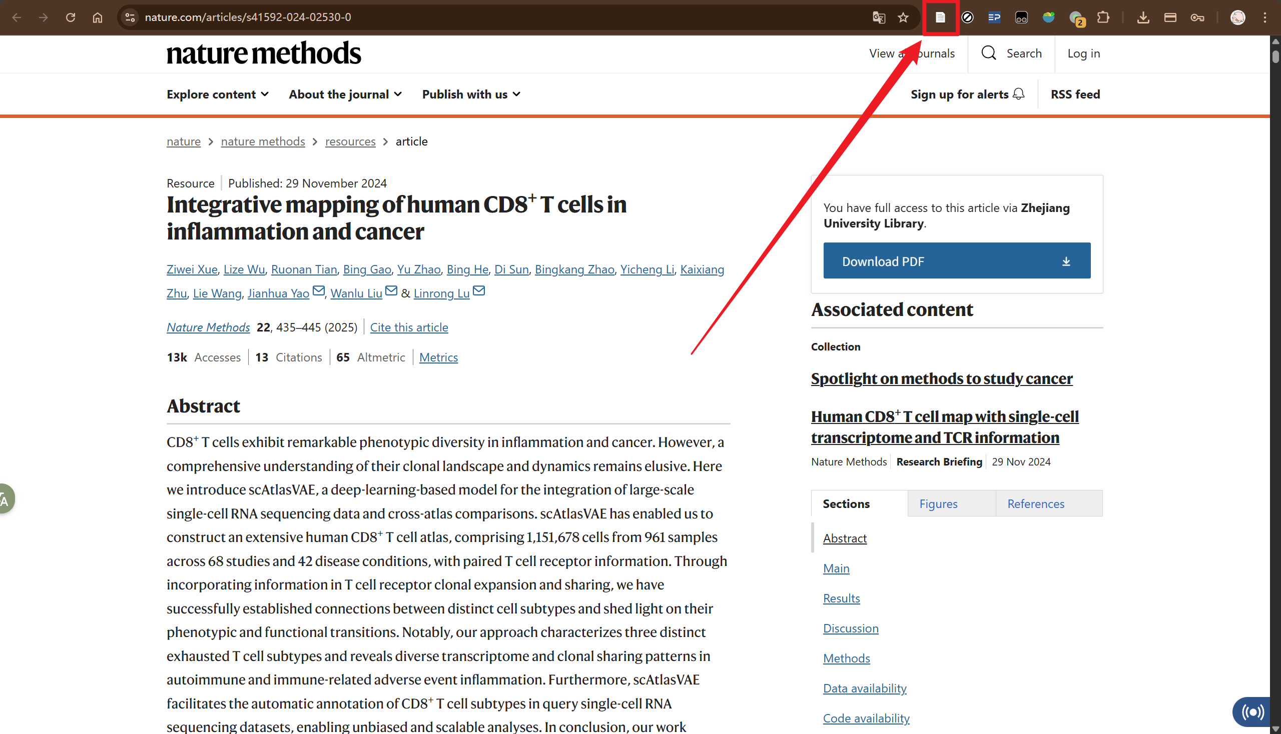 image-20251025181736626