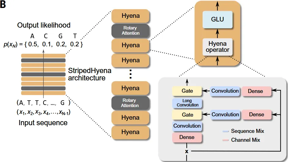 Striped Hyena架构图